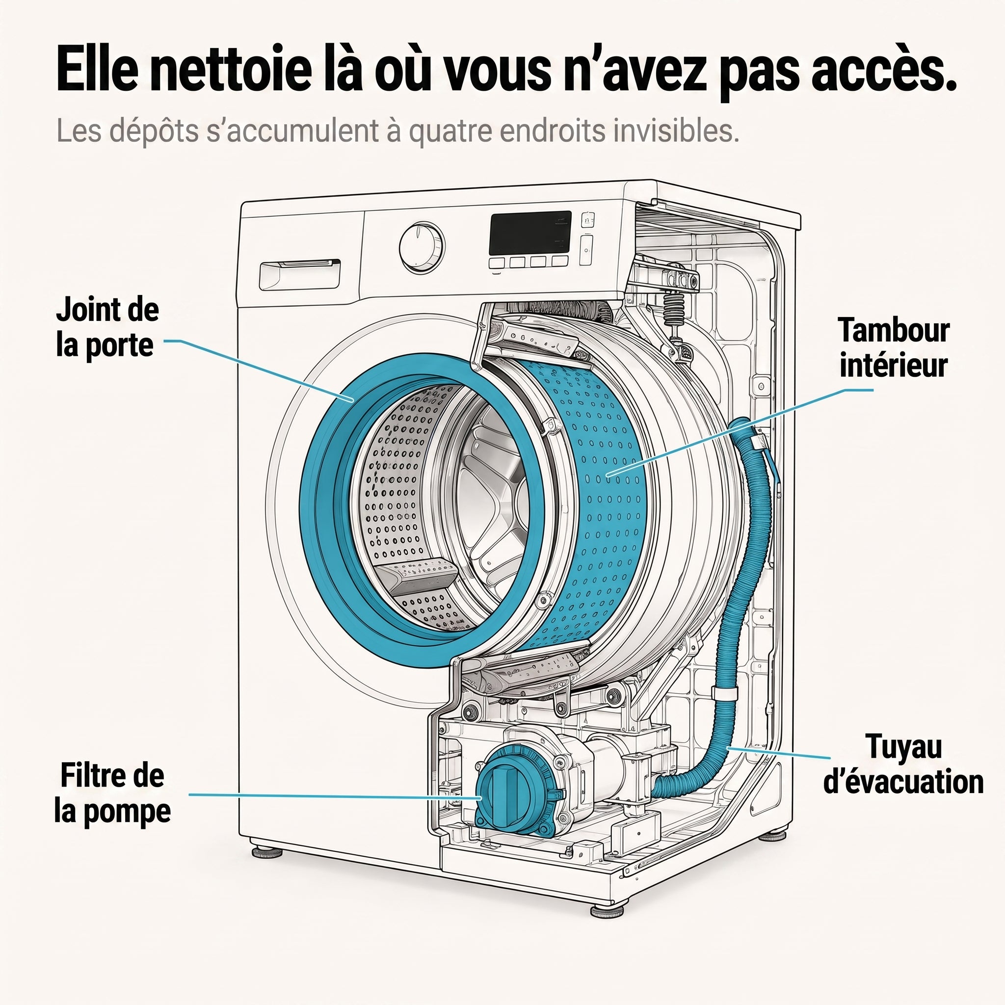 fello™ - Pastilles Nettoyantes pour Laveuse | Formule Spéciale Animaux
